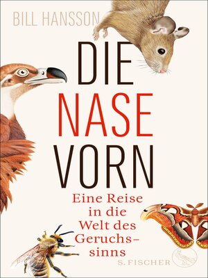 cover image of Die Nase vorn